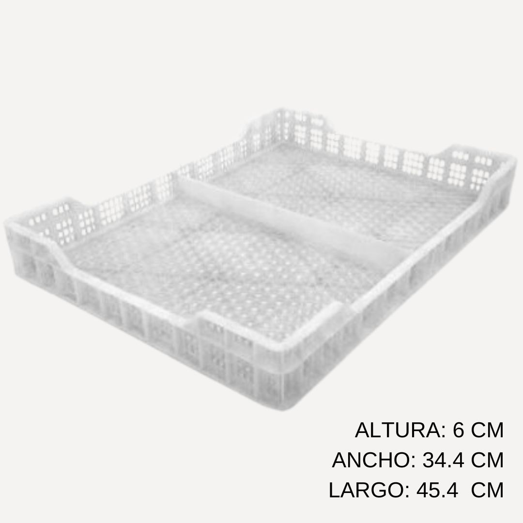 Bandeja Arandanos
